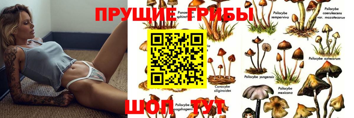 Псилоцибиновые грибы GOLDEN TEACHER Кулебаки