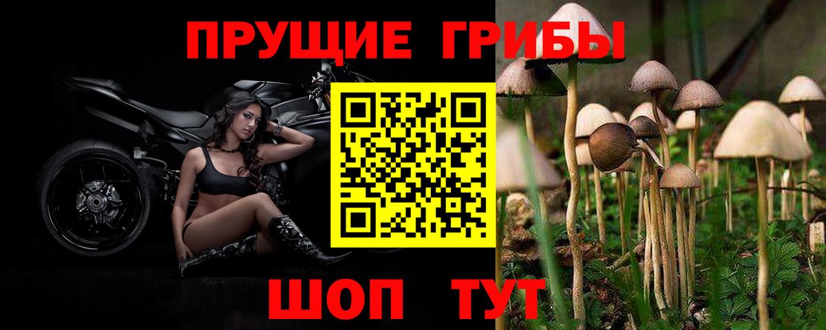 Галлюциногенные грибы Magic Shrooms  Галлюциногенные грибы прущие грибы  где купить наркоту  Кулебаки  Вход с VPN 